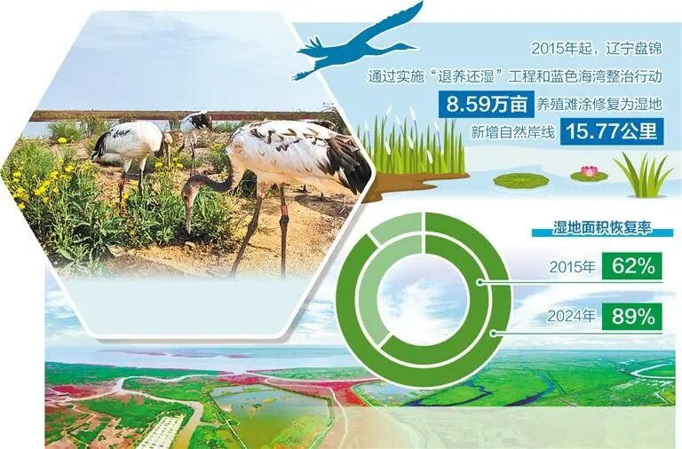 上级媒体看盘锦｜经济日报：河海交汇生机盎然