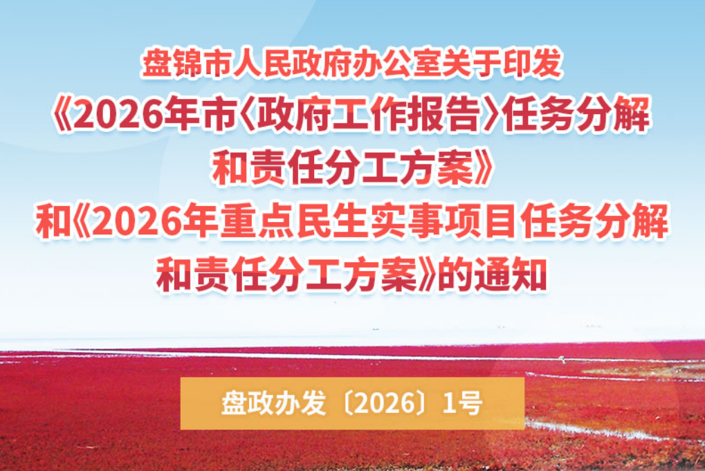 （图解版）《2026年市〈政府工作报告〉任务分解和责任分工方案》和《2026年重点民生实事项目任务分解和责任分工方案》政策解读