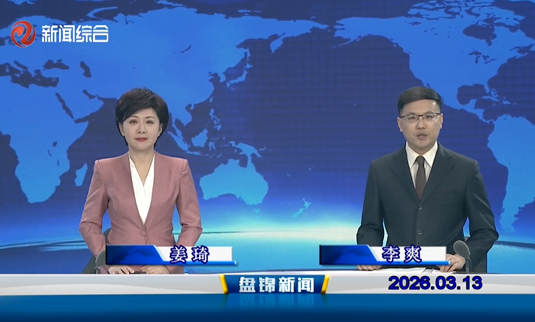 ��Ƶح�̽�����2026-03-13