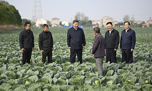 习近平在湖北考察调研