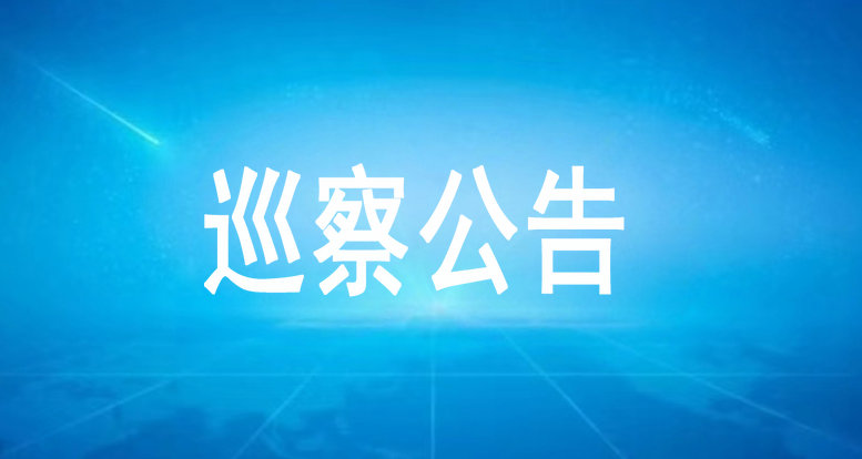 巡 察 公 告