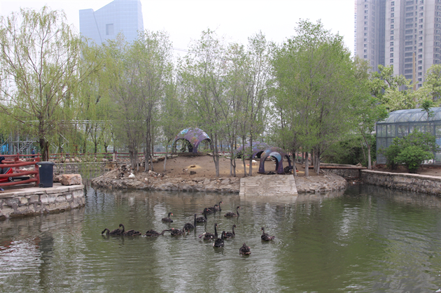 位於湖濱公園內,承載了很多人童年記憶的遼河溼地動物園(又名盤錦市